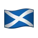 🏴