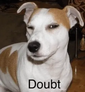 😑 Doubt chien, doute, suspect, mème, animal, expression telegram sticker