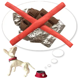 🍫 dog, chocolate, prohibited, pet, food, diet telegram sticker