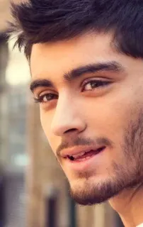 😄 Zayn Malik セレブ, 歌手, ゼイン・マリク, ワン・ダイレクション, ポートレート, 男性, 音楽 telegram sticker