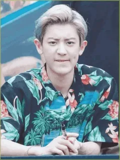 💮 Chanyeol K-pop, chanteur, idole, Chanyeol, EXO telegram sticker