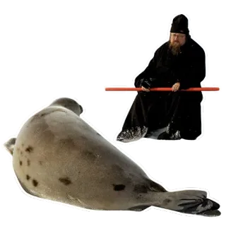 ⛪ foca, uomo, ghiaccio, inverno, animale, ritratto telegram sticker
