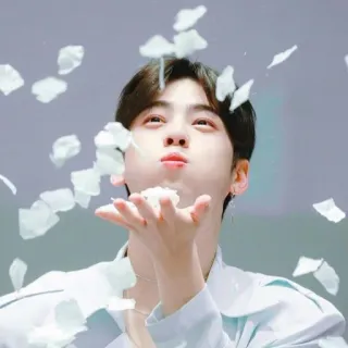 🤪 Kpop, Idolo, Uomo, Soffiando, Fiori, Asiatico telegram sticker