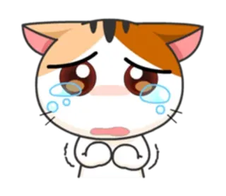 😢 chat, triste, pleurer, larmes, dessin animé, animal whatsapp sticker