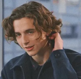 🦇 Timothée Chalamet actor, celebridad, retrato, hombre, pelo castaño telegram sticker
