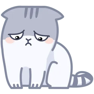 ☹️ gato, triste, animal, fofo, doméstico telegram sticker