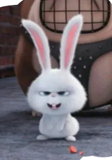 🐰 Snowball The Secret Life of Pets conejo, animal, dibujo animado, mascota, conejito, blanco whatsapp sticker