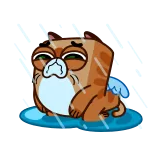 😭 кот, грустный, дождь, мультфильм, плачущий, животное, милый whatsapp sticker