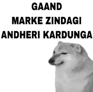 😂 GAAND
MARKE ZINDAGI
ANDHERI KARDUNGA telegram sticker