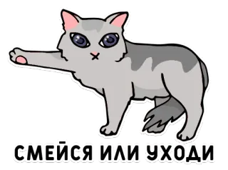 👈 смейся или уходи cat, sticker, meme, animal, funny, illustration telegram sticker