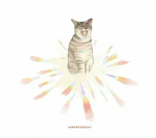 😼 watercolor Katze, Aquarell, Tier, süß, lustig, gähnen, Haustier whatsapp sticker