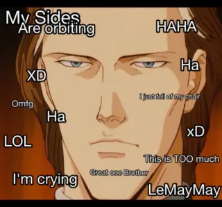 😑 My Sides Are orbiting HAHA Ha XD I just fell of my chair Omfg Ha XD LOL This is TOO much Great one Brother I'm crying LeMayMay meme, funny, text, reaction, orbiting, crying, lol telegram sticker