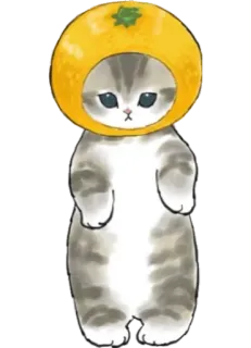 🍊 gato, laranja, fofo, animal, gatinho telegram sticker
