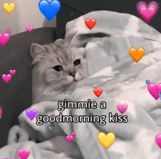🥰 gimmie a goodmorning kiss cat, kiss, good morning, love, heart, cute, meme whatsapp sticker