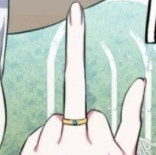 🖕 中指, 冒犯, 手势, 粗鲁, 淫秽 telegram sticker