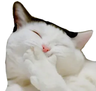 😄 telegram sticker