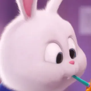 🍬 Snowball The Secret Life of Pets bunny, rabbit, cartoon, cute, animal, pet telegram sticker