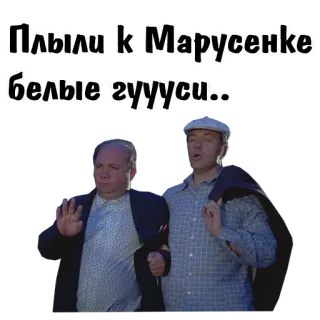 🥴 Плыли к Марусеньке белые гуууси.. telegram sticker