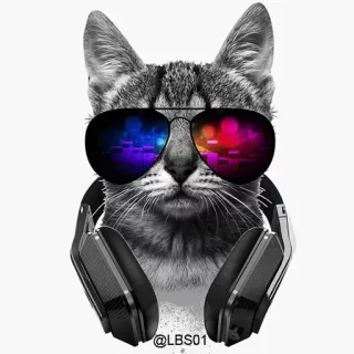 😎 @LBS01 chat, lunettes de soleil, écouteurs, musique, animal whatsapp sticker