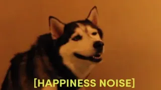 😁 Husky [HAPPINESS NOISE] telegram sticker