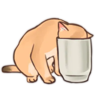 🔍 แมว, สัตว์, แก้ว, น่ารัก telegram sticker