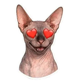 😍 Sphynx cat telegram sticker