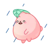 ☔️