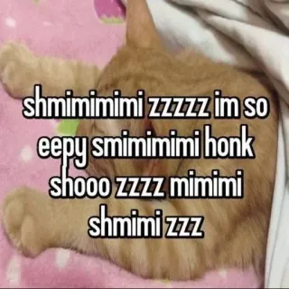 🛏️ shmimimimi zzzzz im so eepy smimimimi honk shooo zzzz mimimi shmimi zzz telegram sticker