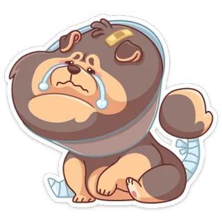 😭 chó, buồn, khóc, bị thương, băng, đau, chó con telegram sticker