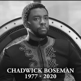 😢 Chadwick Boseman CHADWICK BOSEMAN
1977 - 2020 Chadwick Boseman, aktor, penghormatan, Black Panther, peringatan telegram sticker
