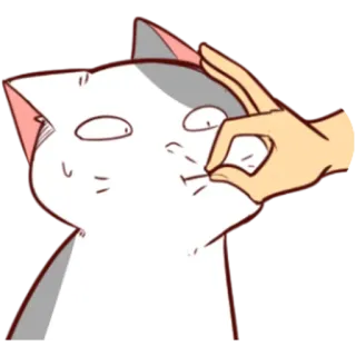 🤐 gato, pellizcado, humor, dibujos animados, animal, tonto telegram sticker