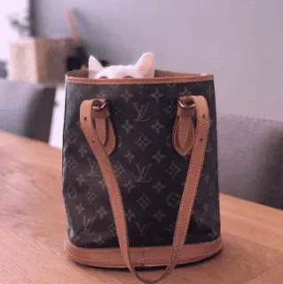 🍡 chat, sac à main, sac seau, chaton, mignon, adorable, animal, animal de compagnie whatsapp sticker