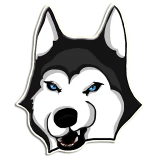 😠 cão, husky, animal, animal de estimação, raça, canino, doméstico, mamífero telegram sticker