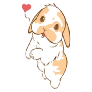 ❤️ kelinci, lucu, hewan, telinga jatuh, hewan peliharaan, kartun, imut whatsapp sticker