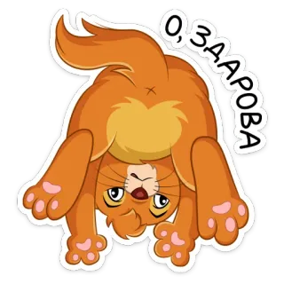 🙃 О, ЗДАРОВА mèo, mông, động vật, hài hước, lời chào, lộn ngược telegram sticker