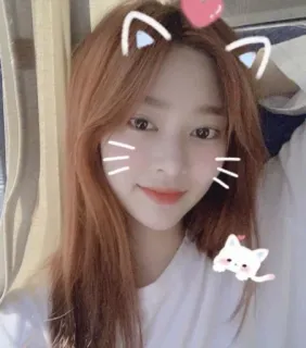 🛒 女性, フィルター, 猫, 耳, ハート telegram sticker