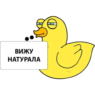 😨 ВИЖУ
НАТУРАЛА Ente, Russisch, Text whatsapp sticker