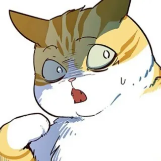 🐈 mèo, hoạt hình, ngạc nhiên, dễ thương, biểu cảm, động vật telegram sticker