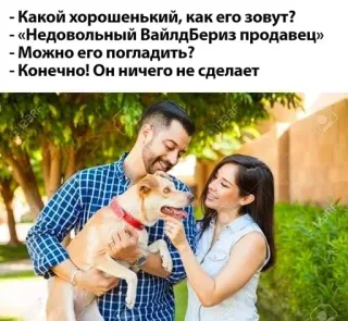 🌟 - Какой хорошенький, как его зовут?
- «Недовольный ВайлдБериз продавец»
- Можно его погладить?
- Конечно! Он ничего не сделает dog, couple, pet, happiness, affection whatsapp sticker