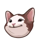 👉 cat, animal, meme, funny, cute telegram sticker