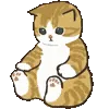 🐱