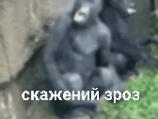 зроз :: @fStikBot telegram stickers