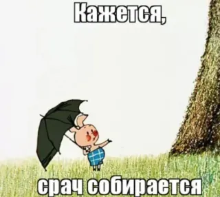 😳 Кажется, срач собирается pig, umbrella, cartoon, russian, text, illustration telegram sticker