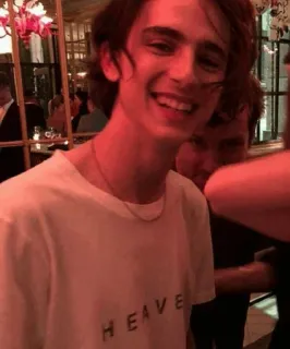 😁 HEAVEN portrait, man, t-shirt, heaven, timothée chalamet, actor telegram sticker