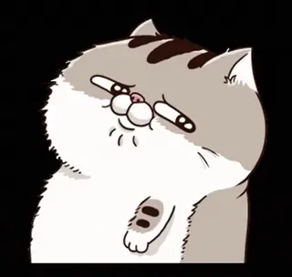 🥺 cat, cute, funny, animal, kitten, cartoon telegram sticker
