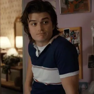 😐 Steve Harrington Stranger Things Steve, Harrington, personagem, televisão, série, Stranger Things telegram sticker