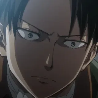 🗿 Levi Ackerman Attack on Titan anime, attack on titan, levi, levi ackerman, kapitan levi, poważny, postać telegram sticker