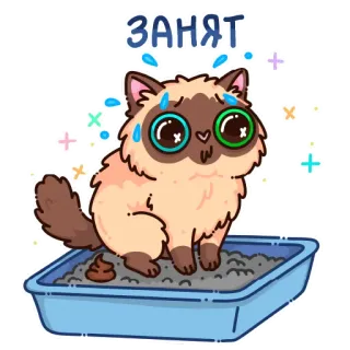 🐱 ЗАНЯТ telegram sticker