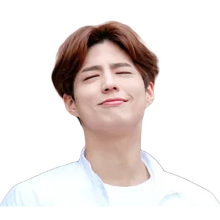 ☺️ Park Bo-gum acteur, coréen, célébrité, sourire, homme telegram sticker