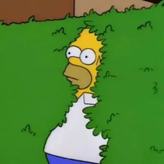 😶 Homer Simpson The Simpsons Гомер Симпсон, Симпсоны, Мультфильм, Куст, Прячется, Анимация, Смешной whatsapp sticker